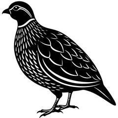 Quail silhouette vector illustration