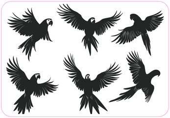 Vector parrot silhouettes of amazon jungle isolated on white background