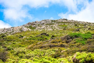 Mountains, rolling hills near Faros of Ikaria island in Greece with wild shrubs bush growing on cliffs, looking up low angle nature landscape view