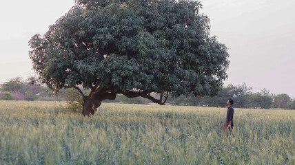person in the field