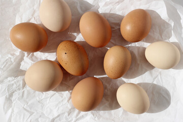 Farm Organic Free Range Eggs. Easter Background.