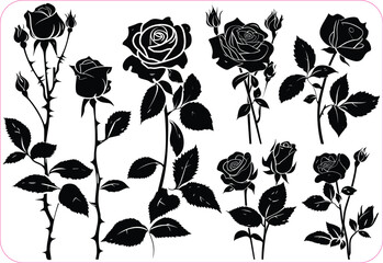 Rose flower Silhouettes set, Rose flowers Collection, Silhouettes of roses, Flower silhoutte. Vector illustration © MDARIF