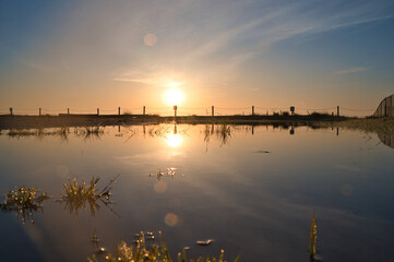 sunrise on puddle