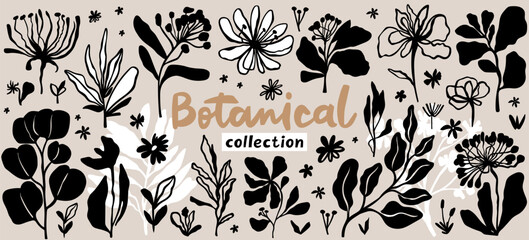 Floral abstract shapes and leaves for natural modern botany design. Minimalist nature elements collection. Vector set.