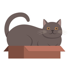 Cute cat sitting inside a box