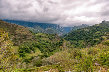 Cabrales is a municipality located in the east of Asturias, forming part of the Picos de Europa National Park, in the north of Spain.