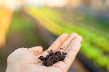 Gardener's hands. Soil for planting seedlings on hand. Soil preparation and soil quality testing by hand.