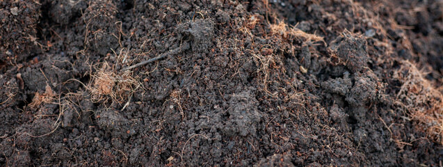 Soil for growing seedlings, vegetables in the nursery. Soil mixture with manure, husks, coconut husks, fermented before planting. Close-up photo of soil. Soil preparation