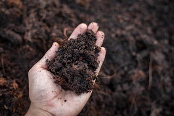 Gardener's hands. Soil for planting seedlings on hand. Soil preparation and soil quality testing by...