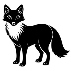 Arctic Fox silhouette black Color vector