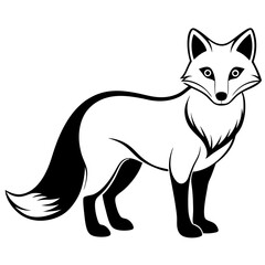 Arctic Fox silhouette black Color vector