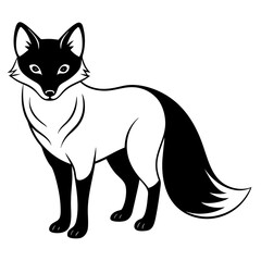 Arctic Fox silhouette black Color vector