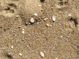 Fine golden sand covering a beach during a sunny day with clear skies, creating a serene and tranquil atmosphere for relaxation