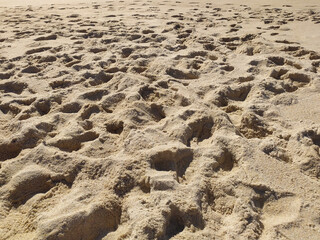 Fine golden sand covering a beach during a sunny day with clear skies, creating a serene and tranquil atmosphere for relaxation
