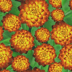 Dynamic Floral Pattern Designs for Print and Digital