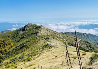 Turó de l’Home 