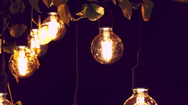 stylish light bulbs in the cafe
