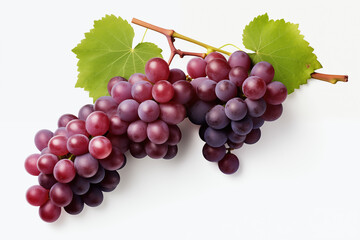 Fototapeta premium Red grape on withe background. PNG cutout. Wine related themes. Wine professions. Oenologist. Wine shop. Buying and selling wine. Images for graphic designers. Isolated wine. Image for website