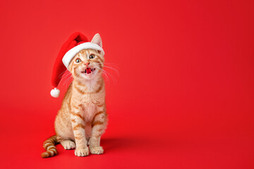 Happy ginger cat in a red Santa Claus hat sitting on red background