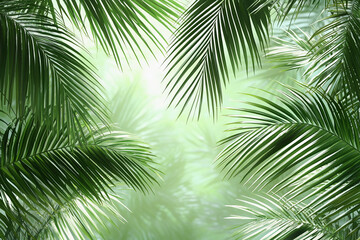 Lush green palm leaves framing a vibrant tropical backdrop