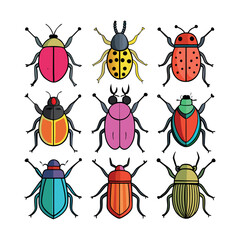 beetle Vector on a white background