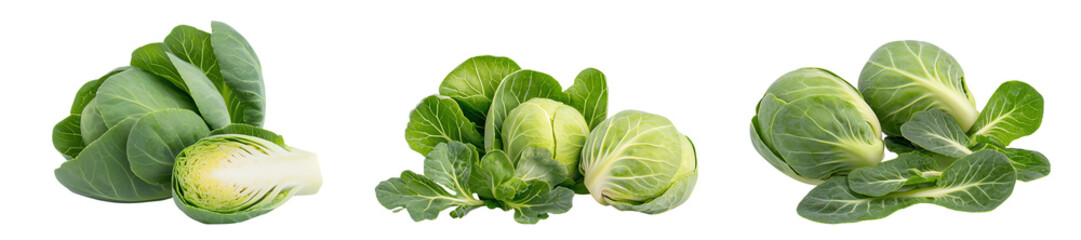 Obraz premium Fresh green cabbages, white isolated background transparent background