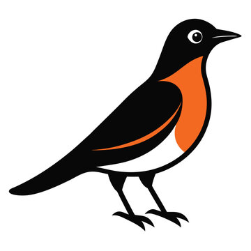 recommend clip art: Solid color Thrush animal vector design
