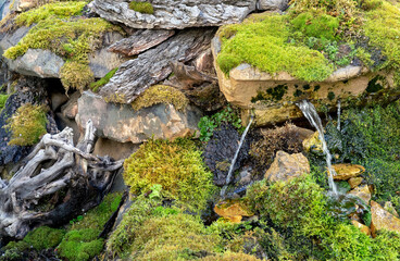 Micro landscape with imitation of a forest stream, driftwood, micro waterfalls, pebbles and moss.
