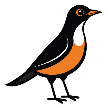 recommend clip art: Solid color Thrush animal vector design