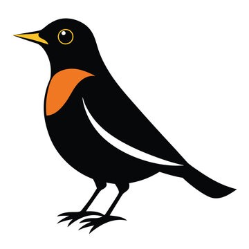 recommend clip art: Solid color Thrush animal vector design