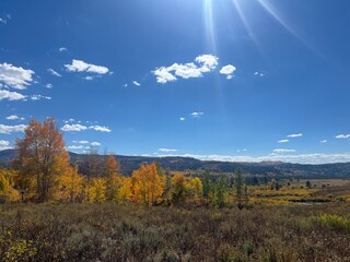Fototapeta premium Vibrant orange and yellow trees create a stunning backdrop against a clear blue sky during autumn, highlighting the beauty of nature in the valley below.