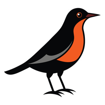 recommend clip art: Solid color Thrush animal vector design