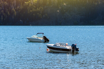 Fototapeta premium Anchored White Motorboats on Sparkling Blue Water with Forested Background