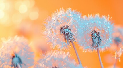 Obraz premium A close-up of a group of dandelions on a yellow and blue backdrop with a blurry backdrop
