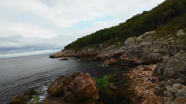 Aerial view over a small bay with a wild beach, located in the forest, Paraskeva Bay, Bulgaria