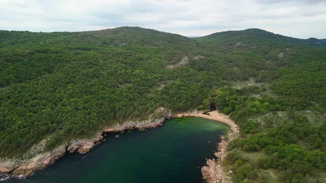 Aerial view over a small bay with a wild beach, located in the forest, Paraskeva Bay, Bulgaria