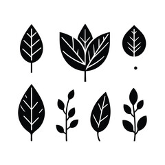 Fototapeta premium Leaf Silhouettes Set Collection vector