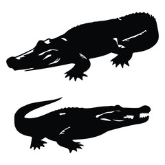 black crocodile vector with white background