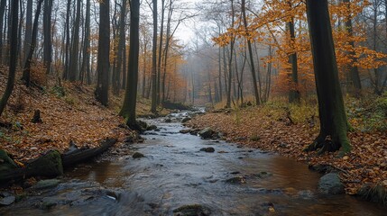 Autumn forest with a small river running through, vibrant colors of orange and red. 