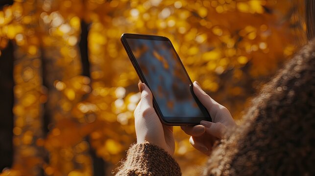 Close-up of a woman's hand holding a smartphone with an autumn forest in the background.