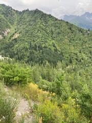 Obraz premium Cable car ascending mountain through lush green forest