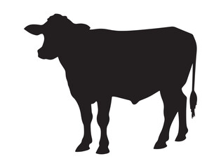 Cow silhouette, vector illustration. Ideal for farm, livestock, and agricultural-themed artwork.