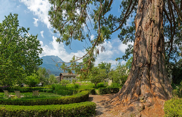 The little park in Soglio village with the Sequoia tree - Bregaglia range - Switzerland.