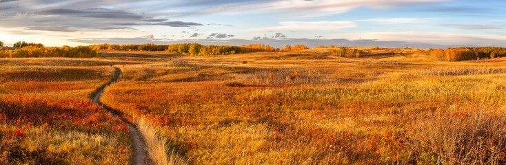 Nose Hill Calgary Alberta Urban City Park Panoramic Landscape. Hiking Footpath Trail Autumn Colour Change Natural Prairie Grassland Horizon