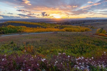 Vibrant Autumn Colours Leaf Foliage Dramatic Sunset Sky.  Nose Hill Calgary Public City Park...
