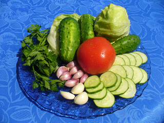Green head of lettuce, red tomato, sprigs of parsley with green leaves, green cucumbers whole, sliced, garlic cloves on plate on blue tablecloth - culinary composition with wet vegetables.