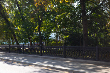 Black decorative fence in the park