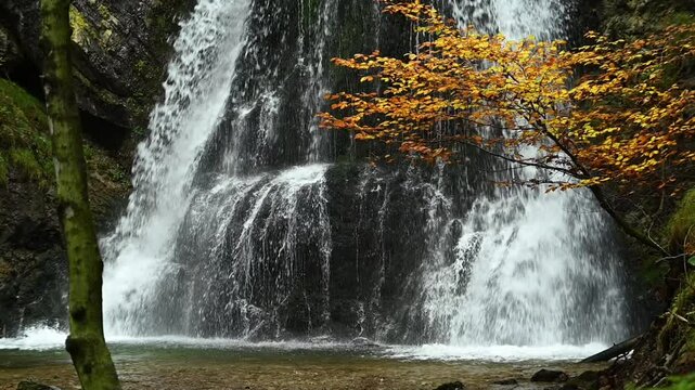 Closeup of a twofold waterfall with colorful leaves in autumn, slow motion, Josefsthaler Wasserf&auml;lle