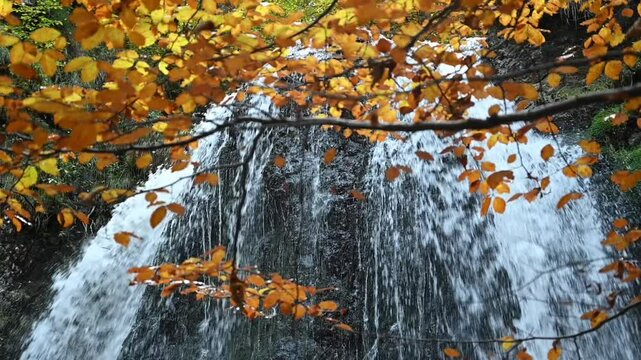 Colorful autumn leaves in front of the top of a waterfall, slow motion, Josefsthaler Wasserf&auml;lle, Bavaria