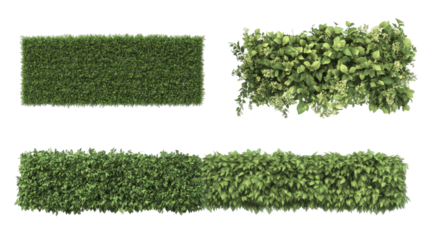 Assorted Long Hedges Arranged in a Neat Layout on a White Background Generative AI
